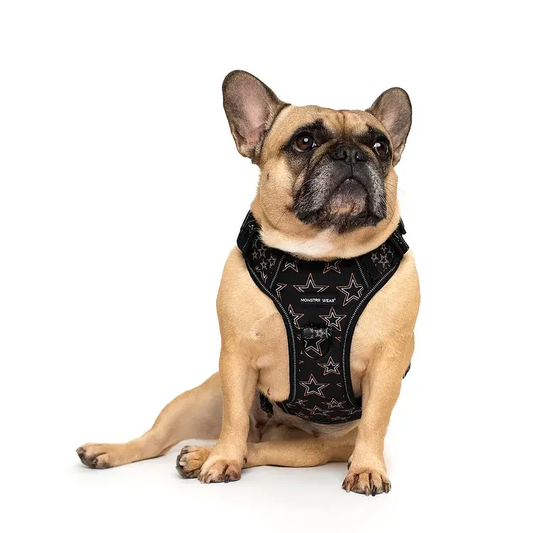 Monstar Wear Orange Stars Black Harness