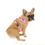 Thumbnail: Monstar Wear - Pink Golfing Harness
