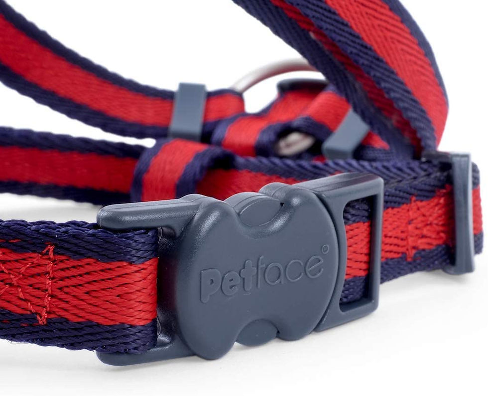 Thumbnail: SCARLET STRIPE DOG HARNESS S/M/L