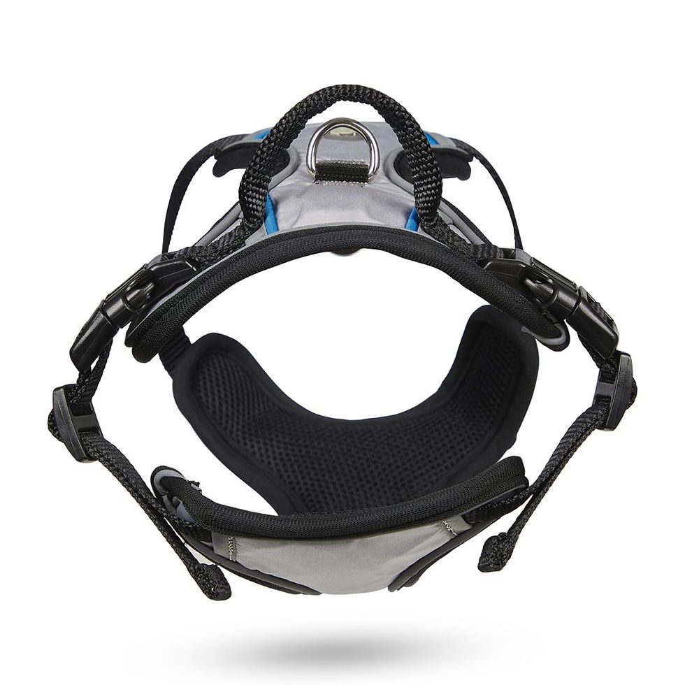 Thumbnail: ADVENTURE DOG HARNESS SILVER/GREY