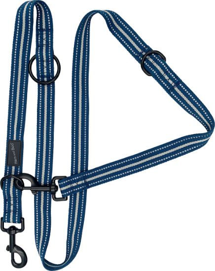 Sports Training Lead - Multi Functional