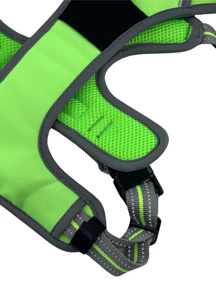 Thumbnail: Sports Harness