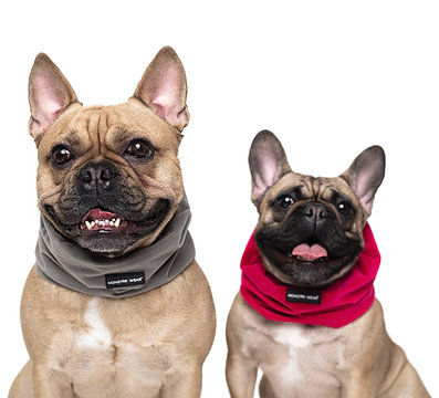 Monstar Snood | Scarf | Neck Warmer