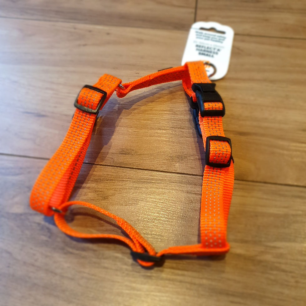 Thumbnail: Orange Reflective Harness, Night Safety - High VisibilityS, M, L