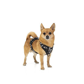 Thumbnail: Monstar Wear - Grey Camo Harness