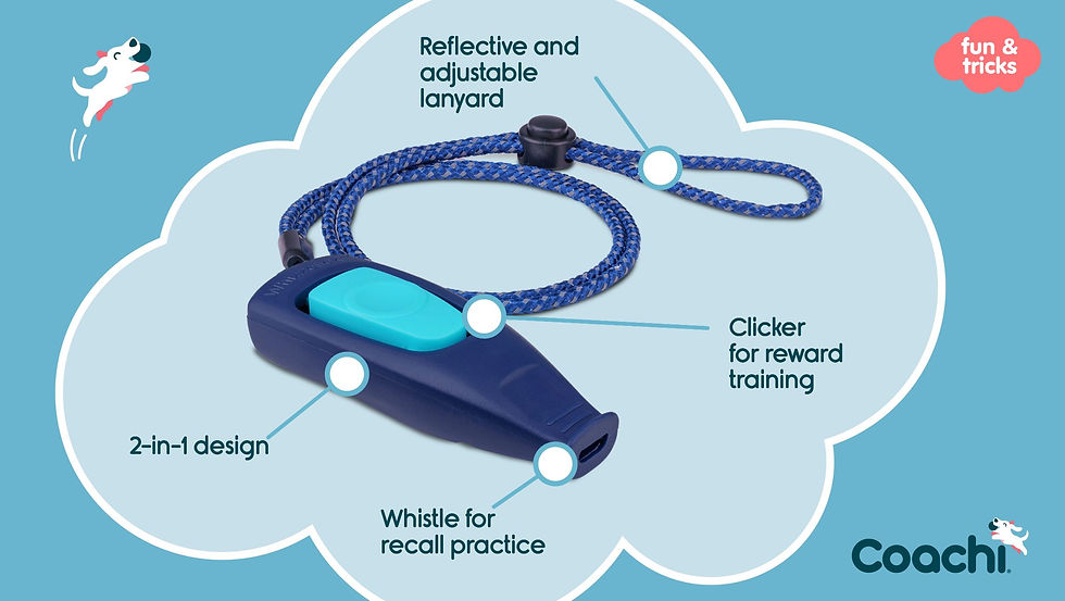 Thumbnail: Coachi Whizzclick Training Clicker