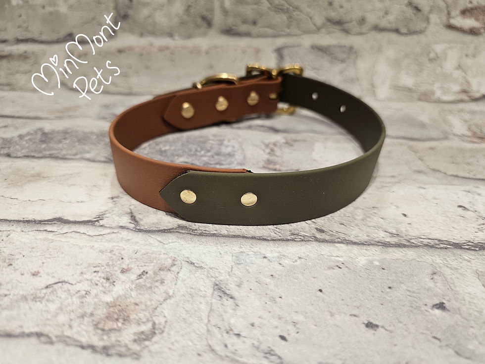 Thumbnail: Genuine BioThane®️ Half & Half Coloured Collar