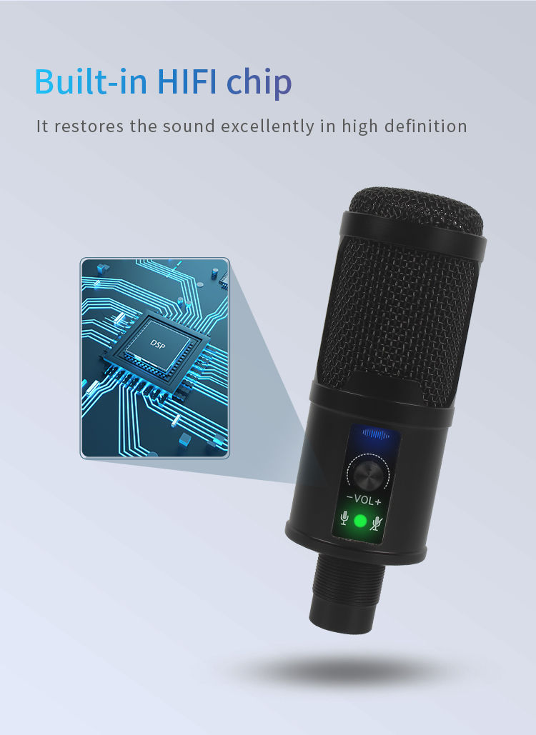 Thumbnail: USB Microphone Professional Condenser Microphones for PC Recording Studio