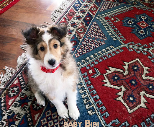 03 baby bibi.jpg