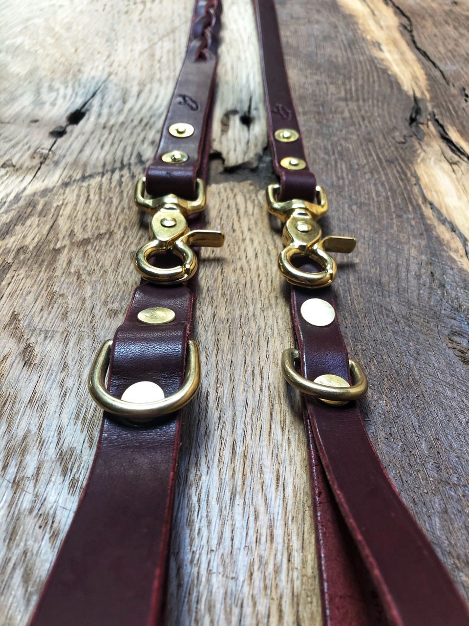Dog Leash