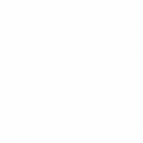Elegant Animated Beauty Logo Design.gif
