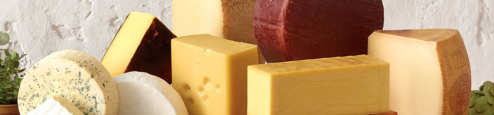 cheese_orig.jpg