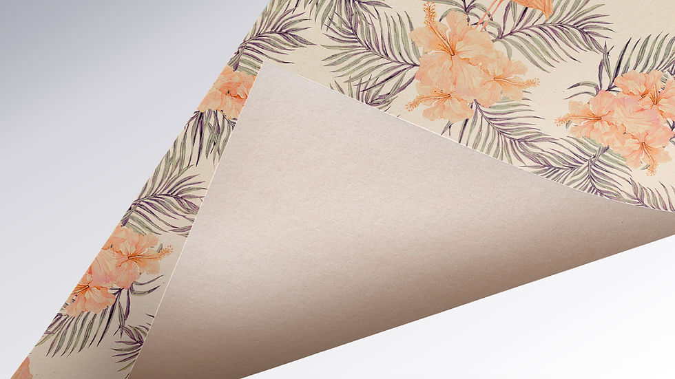 Folded Paper