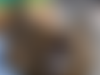 Insight of the Day: Brands Archive-Mining for New Product Launches