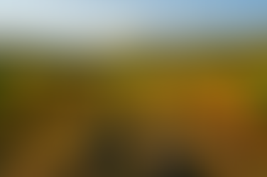 Travel: Grape Escapes: The Rise of Modern Wine Tourism