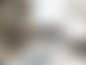 Insight of the Day: This Bizarre New Travel Trend in Tiktok Surging Christmas and Year End Trip Planning