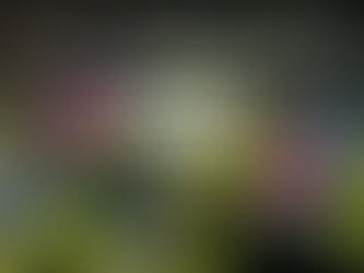 Innovation of the Day: Internet Outage Telecom Plans