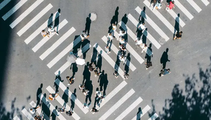 Politics: Evolving Moral Landscape: The Great American Cultural Plateau