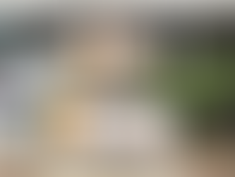 Restaurants: Viral Victory: BiteSight's TikTok Triumph and the Future of Food Discovery