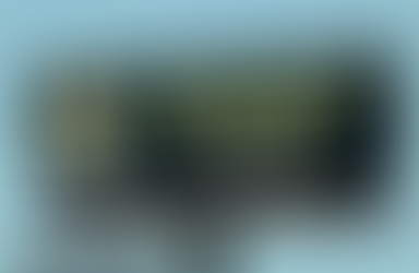 Innovation of the Day: America's best loved convenience store is even winning over Gen Z with its beaver nuggets