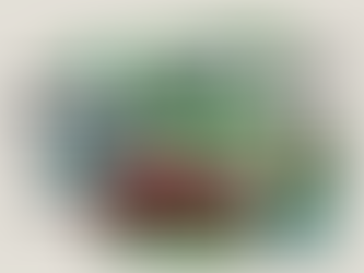 Insight of the Day: Toyota is hitting the gas on hybrids as EV sales cool. But what does that mean for the planet?