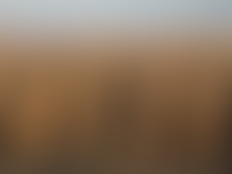 Insight of the Day: Heatflation: What is it and how is it impacting the food industry?