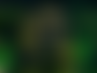 Insight of the Day: Harrods: Future of experience