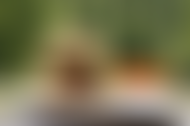 Food: Beyond the Burger: Why Meat Alternatives Need a Cultural Makeover