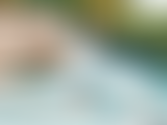 Wander Wave: how TikTok, whycations and Mediterranean slow‑life are rewriting travel in 2026