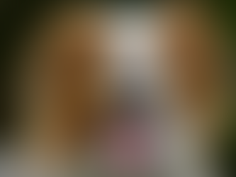 Technology: Woof to Words: AI Startup Aims to Decode Dog Language