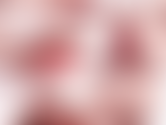 TikTok Ate Instagram: Beauty's Attention Economy Has a New King