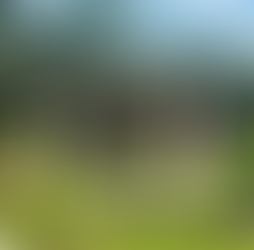 Wellness: Permission to pause: viral “youth retirement” fantasies reveal endurance fatigue and the demand for guilt-free rest