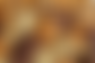 Confectionery: Sweet Indulgence: The Emotional Drivers of Bakery Choices