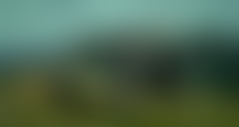 Streaming: A Matter of Choice (2025) by Fábio Cabral: The Road to Self-Discovery