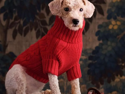 Fashion: Ralph Lauren Christmas”: Why Nostalgia, Design & Permanence Are Winning the Holidays