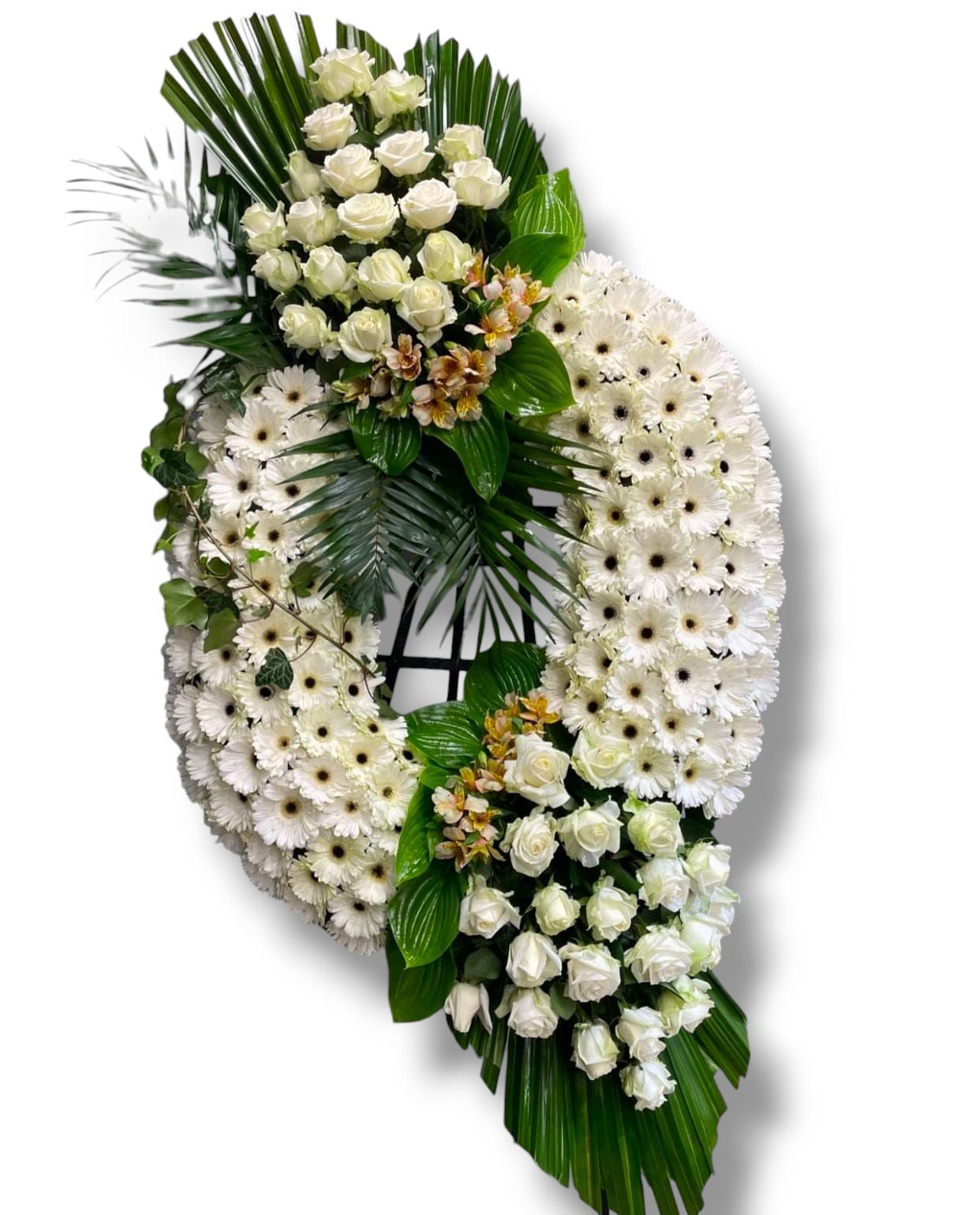 Coroa 21