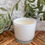 Thumbnail: Vintage Gardenia Luxe Collection Soy Candle