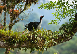 MX07-021335 copy.jpg