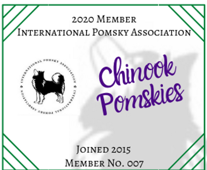 Chinook Pomskies 2020 IPA Badge.png