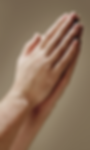 HBC (5).png