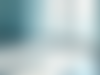 Expert Floor Waxing and Window Cleaning Solutions