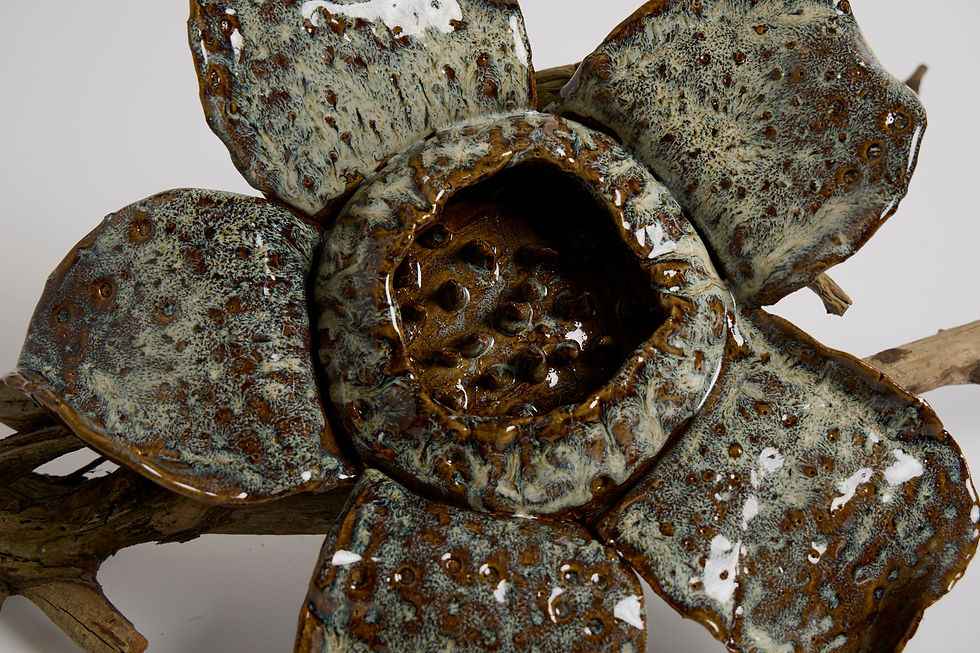 Fine-Art-tabletop1288