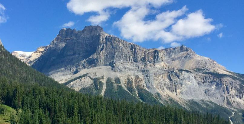 The Beauty of the World