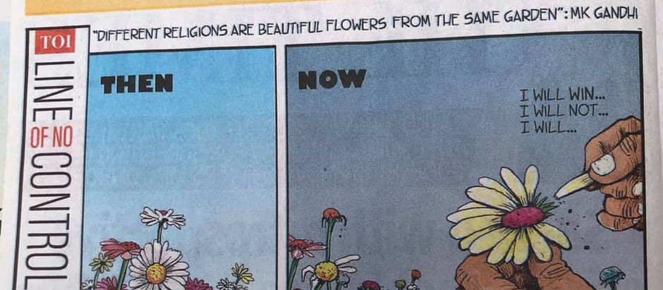 Beautiful flowers from the same garden