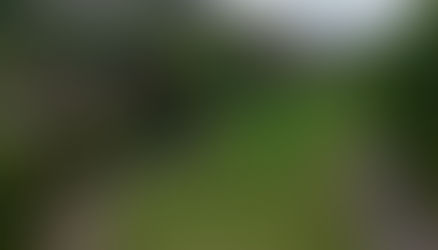 Of Toilets & Witches