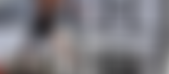 Wellington Vignettes