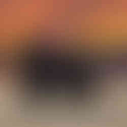 Stefan Raab / Raab Holzbau