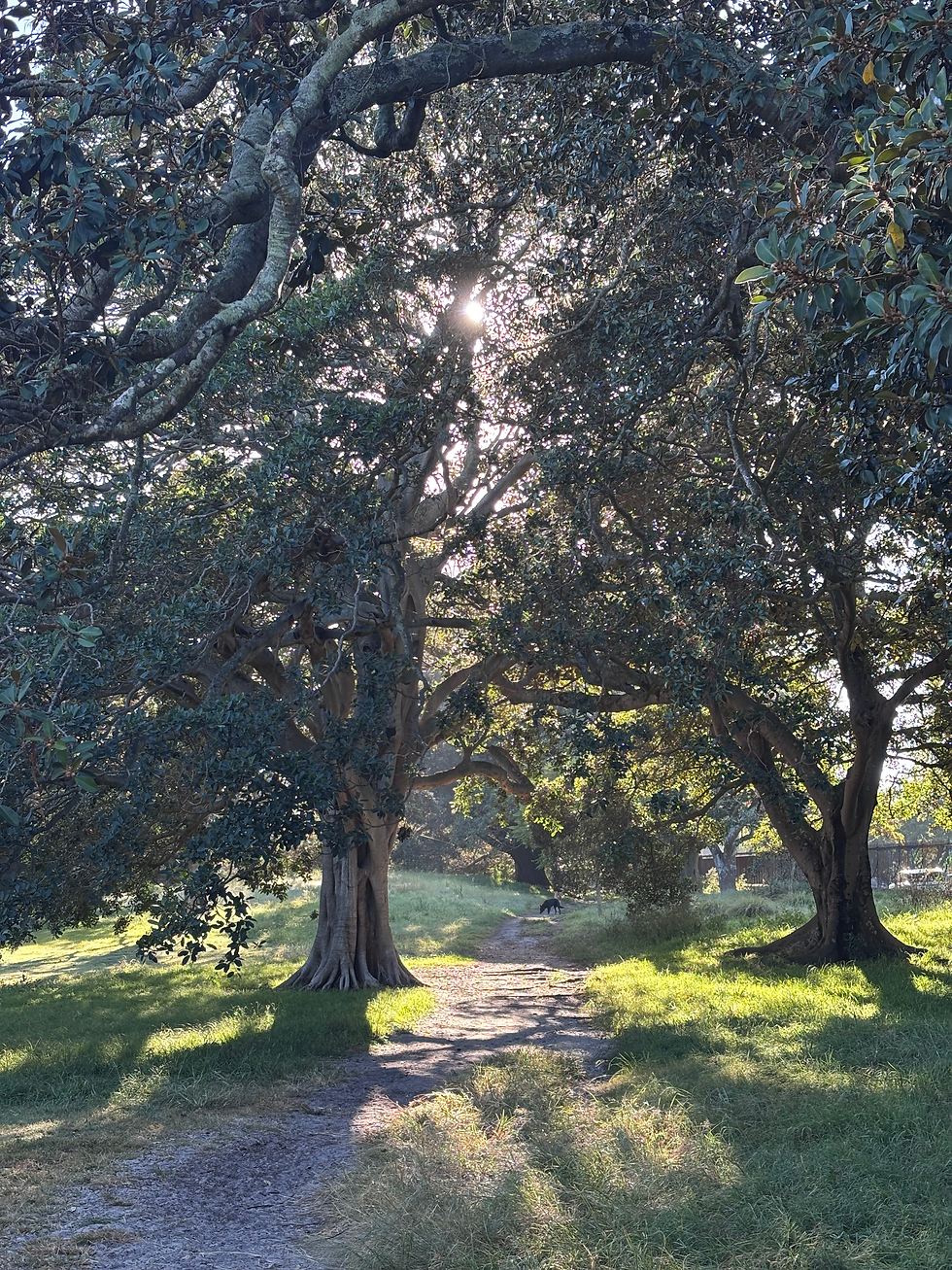 In the Open - June