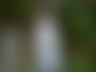 Paul's Share: Olivia Laing on the Pleasures and Possibilities of Gardens