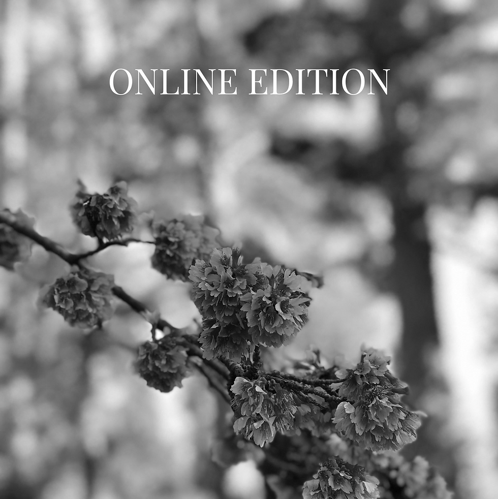 In the Open Online - March 28th